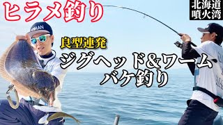 【北海道】良型連発ヒラメ釣り！ボートキャスティングampバケ【噴火湾ボトムワインド釣法】 [upl. by Atteynot433]