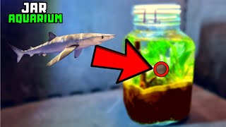 I turned a jar into an aquarium THIS Happened [upl. by Orlosky]