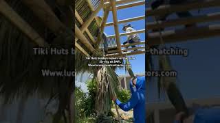 Tiki Huts buildersrepairsrethatching Serving Southwest Florida Wwwlucasgeneralcontractorscom [upl. by Mixie]