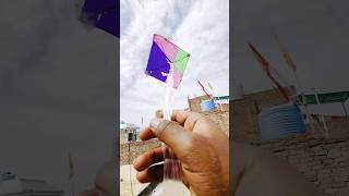 FLY A KITE USING A POLYTHENE 😍 shorts pkcrazyexperiments [upl. by Aihsoj]