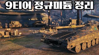 9티어 정규 미듐 요약 평점개량기타 등등 [upl. by Gilbertson]