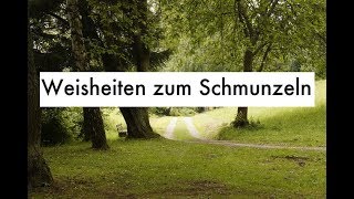 witzige Zitate amp lustige Sprüche  Weisheiten zum Schmunzeln [upl. by Amitaf636]