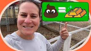 Composting Pig Manure Made Easy Simple Techniques for Beginners [upl. by Elyad291]