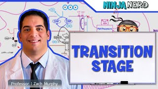 Metabolism  Transition Stage Preparatory Phase [upl. by Lesirg583]