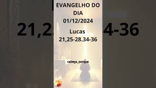 EVANGELHO DO DIA – 01 12 2024 deus evangelhohoje palavradedeus amordedeus jesus paz vida [upl. by Oswell822]