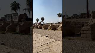 Walking The Avenue of Sphinxes to Luxor Temple Egypt [upl. by Ynar452]