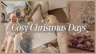 COSY CHRISTMAS DAYS  christmas shopping house cleaning festive cheeseboard amp night routine [upl. by Ehsrop]