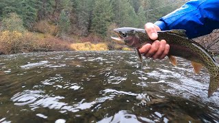 Hooked on Steelhead A Fly Fishing Journal  Episode 2 [upl. by Esau323]