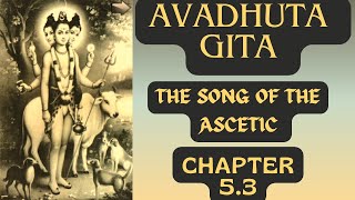 Avadhuta Gita Chapter 53 quotThe Song of the Asceticquot Read by AkshĀnanda enlightenment mindfulness [upl. by Zashin228]