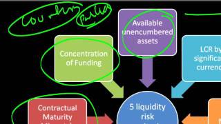 ALM and Capital Adequacy  ICAAP and Liquidity Risk Capital extensions [upl. by Iago30]