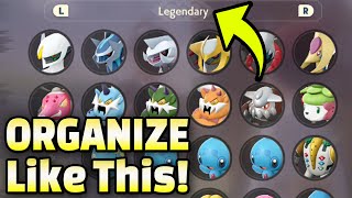 ✅ Organize Your Pastures LIKE A PRO in Pokemon Legends Arceus [upl. by Khoury501]