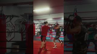 muay thai sparring combo [upl. by Nomaid]