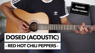 Dosed  Red Hot Chili Peppers  Acoustic Guitar Lesson  Solo [upl. by Yrogreg]