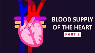 How The Heart Supplies Blood to Itself Part 2 [upl. by Neellek]