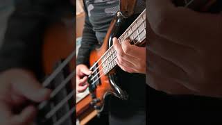 “Hosanna”Hillsong Bass Cover [upl. by Maunsell]