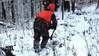 Public Land Still Hunting Tips For Deer In Hardwoods [upl. by Rayford868]