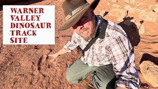 Warner valley dinosaur tracks St George Utah [upl. by Nyladnarb25]