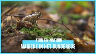 Op pad met Marieke in het Bunderbos  BinnensteBuiten [upl. by Goldfinch62]