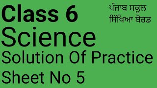 Class 6  Science  Weekly Competency Practice sheets Sheet No5 PSEB [upl. by Bryant]