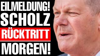 💥EILMELDUNG ALTPARTEIEN ZERSTÖREN SCHOLZ  AfD EXPLODIERT MASSIV💥 [upl. by Erdnassak]