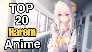 Top 20 Best Harem Anime Hindi  You Must Watch Before You Die😍 [upl. by Hock260]