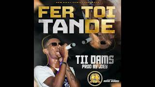 Tii Dams  FER TOI TANDE Audio [upl. by Lauree459]