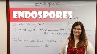 Endospores [upl. by Lyford]