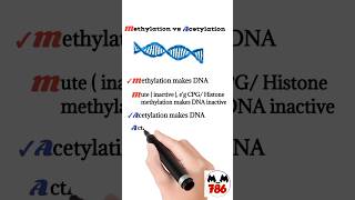 methylation and acetylation [upl. by Ahsert]