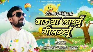 Vadya Lagyu Gilkhiyun  Keshav Baghel Bagh  Song Of Keshav Baghel  Aadiwasi Dj Timli Song 2024 [upl. by Lilias]