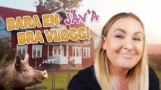 Det blir ALLTID så här🙈  VLOGG [upl. by Araed]