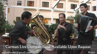 啤酒節香港 Beer Barrel Polka  Oompah Band Live Performance  Birkuns Channel Hong Kong [upl. by Ranson]