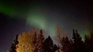 Alaska Northern Lights Above Fall Foliage Offer a Return Performance [upl. by Nahtnamas]