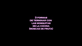 Como eliminar las MOSQUITAS de la frutas 3 trucos  Rayredok 87 [upl. by Ainer]