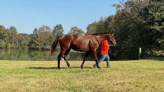 Miss Liana Fasig Tipton [upl. by Enitselec185]