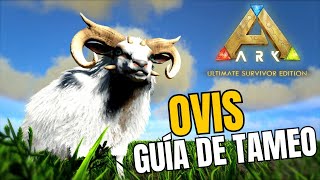 Como tamear Ovis en Ark Survival Guía de tameo de Ark Ultimate Survivor Edition [upl. by Eirojram13]