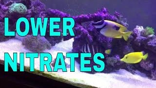 How Im lowering nitrates in the 125 gallon saltwater aquarium [upl. by Harmonia]