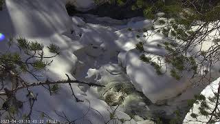 Oulanka Live Webcam Live Stream [upl. by Ermin]