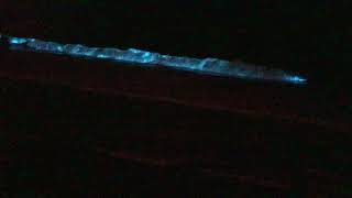 Bioluminescence 2020 San Diego [upl. by Estas]