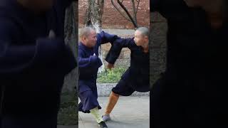 Real Shaolin Masters show their Kung Fu skills  Shaolin Temple Yunnan [upl. by Oremoh]