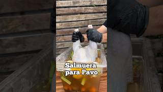 Salmuera para pavo [upl. by Elwira]