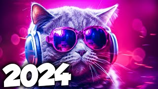 MÚSICA ELETRÔNICA 2024 🔥 AS MÚSICAS ELETRÔNICAS MAIS TOCADAS 🔥 Alok Vintage Culture amp David Guetta [upl. by Ahsinnor]