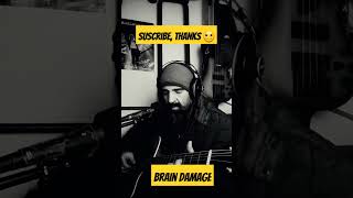 Brain damage pinkfloyd coversong cover davidgilmour acoustic rogerwaters braindamage [upl. by Elliott78]