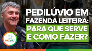 PEDILÚVIO PREVENÇÃO E USO ADEQUADO  MF CAST 27 [upl. by Pavlov]