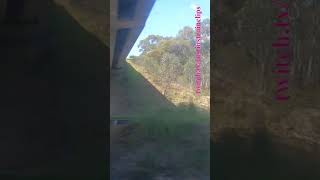 VLINE Albury NSW To Southern Cross 101024 vline shorts shortvideo train travel views [upl. by Firman]