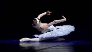 🦢 Svetlana Zakharova  The Dying Swan 🩰 [upl. by Hyams]