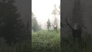 RDR 2  Oh Hello Elk rdr2 reddeadredemption gaming [upl. by Kipton]