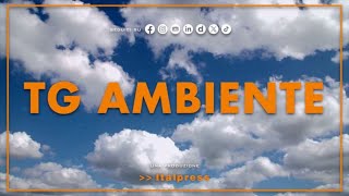 Tg Ambiente  772024 [upl. by Inafit]