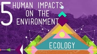 5 Human Impacts on the Environment Crash Course Ecology 10 [upl. by Chalmers913]