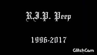 Witchblades lil peep CLEAN RIP PEEP [upl. by Benilda939]