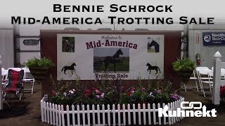 MidAmerica Trotting Sale Podcast with Bennie Schrock Sale Manager [upl. by Ahsatniuq]